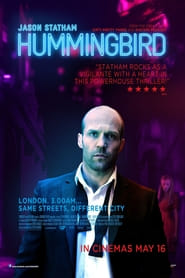 Hummingbird (2013)